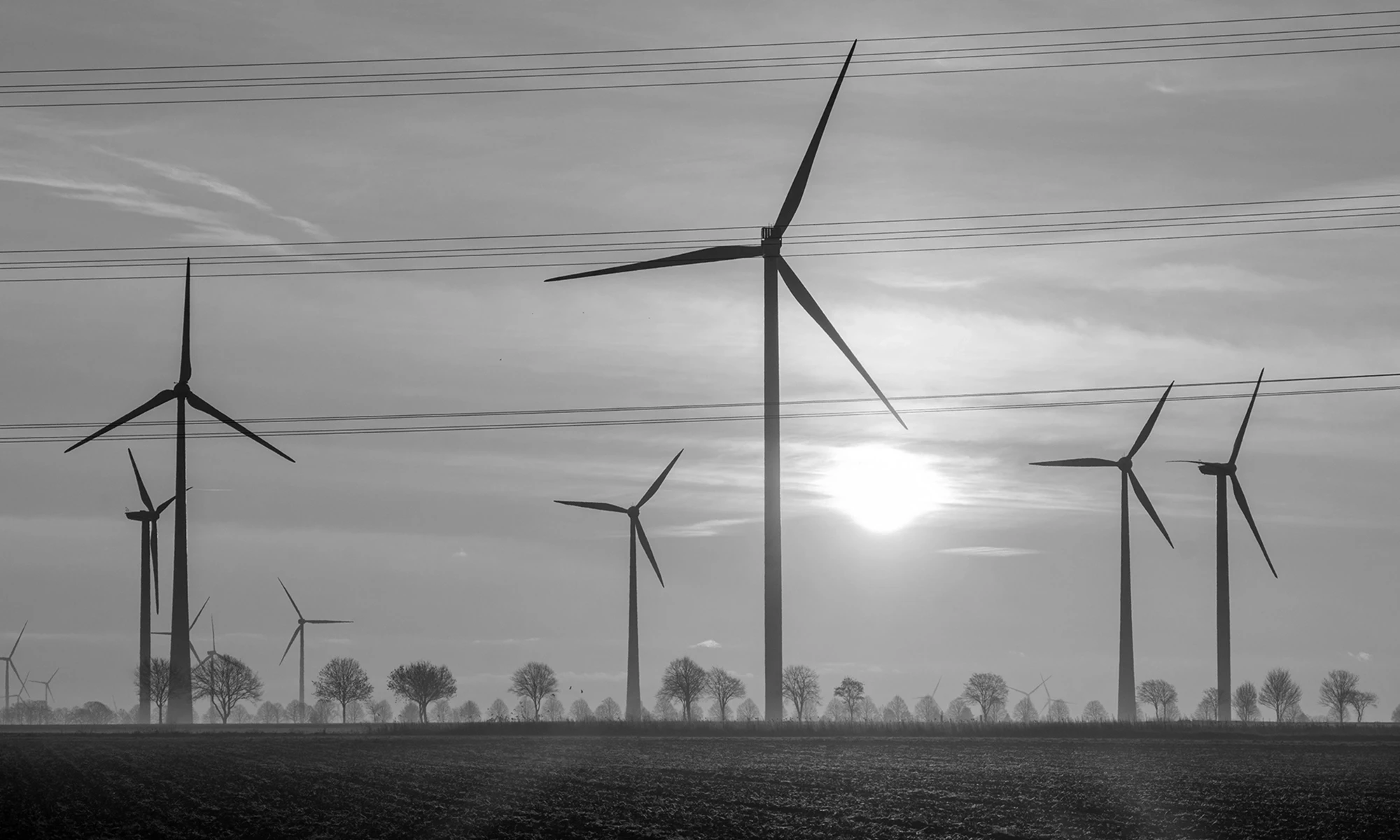 Wahlprogramm Hans-Hermann Meyerholz - Energie